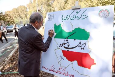 رالی تور گردشگری خودروی کلاسیک فولکس بیتل